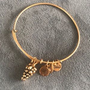 Alex and ani bracelet